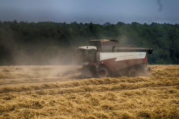 combine harvest in the field