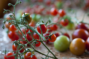 cherry tomato macro photo