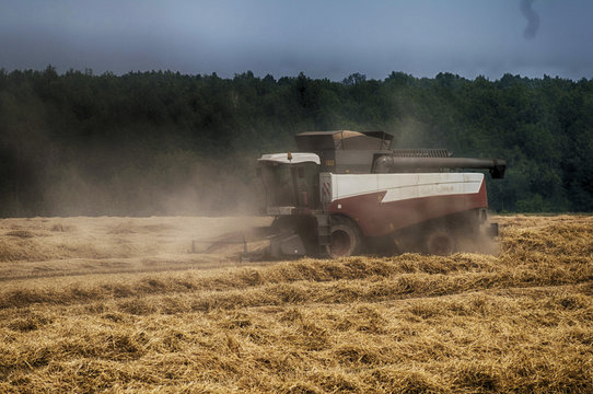 combine harvest in the fiel