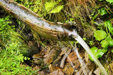 Wellspring flowing from the ground through wooden gutter in forest. Natural source of pure, fresh, drinking water. Selective focus.