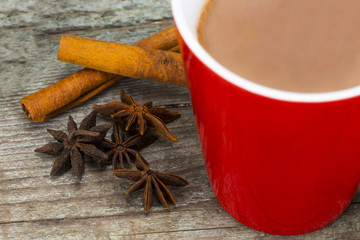 Red Cup of hot Chocolate drink with  and cinnamon on wooden background. Winter time. Holiday concept, Selective focus