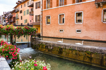 City of Annecy. Historical medieval houses, swans swim along the Tue Canal, the embankment is decorated with flowers, on the bridge and embankment many tourists in the resort town of Annecy in France 