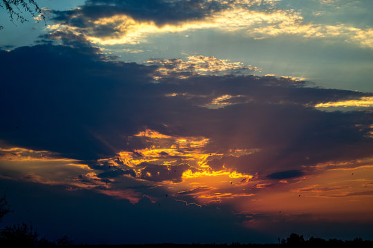 paysage