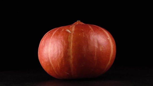 big fresh pumpkin