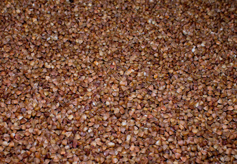 raw buckwheat closeup background