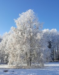 Třeboň, Snow, Czech Republic
