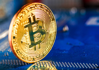 Golden Bitcoin Cryptocurrency on computer circuit board. Macro shot