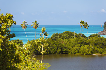 Caribbean Beach From Above, Antigua