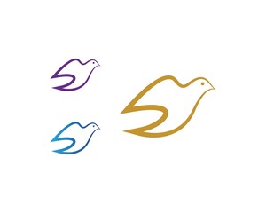 Bird Dove Logo Template