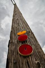 Telephone Pole