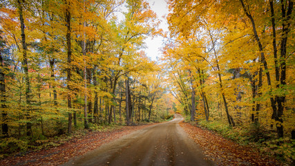 Algonquin Fall Colors