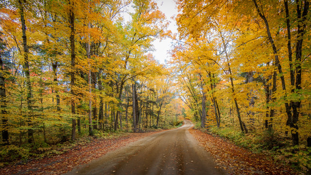 Algonquin Fall Colors