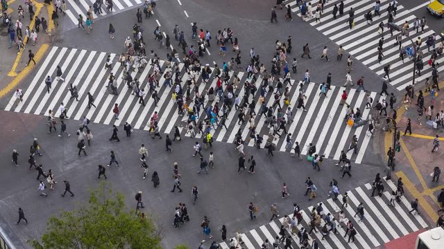 Pedestrian crosswalk in Shibuya, Tokyo. High angle time lapse of people crossing the street in business district