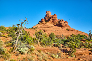 Exploring Arizona Landscapes