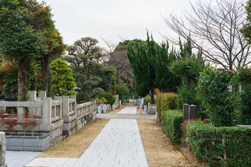 青山霊園