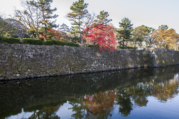 紅葉の和歌山城とお堀の風景