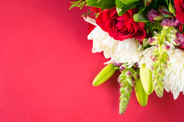 Rose bouquet on red background