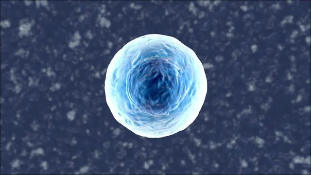 3D rendered Animation of a morphing, single biological Cell.
