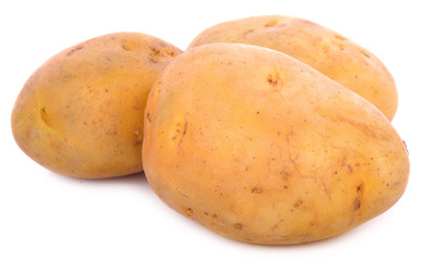 Potato isolated on white background