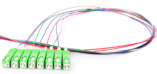 Ribbon fiber optic fun out patchcord with connector MTP isolated on white background
