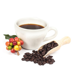 fresh coffee beans and cup of hot coffee ,concept food and drink.