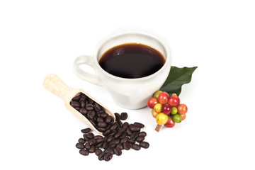 fresh coffee beans and cup of hot coffee ,concept food and drink.