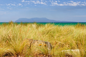Maria Island as seen from behind the dune grass on Raspins Beach in Orford - Tasmania, Australia
