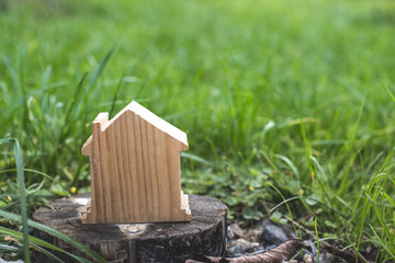 Small wooden house in garden grass