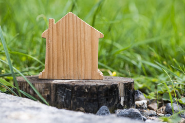 House shape in green grass