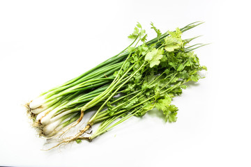 Bunch , Onion of coriander on white background.
