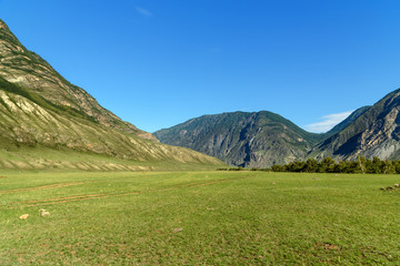 Valley of Chulyshman river at the morning. Altai Republic. Russia