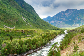 Naklejka na ściany i meble Valley of Chulcha river. Altai Republic. Russia