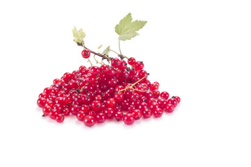 Ripe berries of the plant red currant