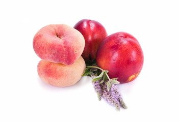 Ripe fruit and leaves of mint