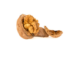walnut isolated on white background