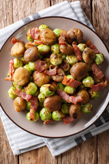 Homemade salad of roasted chestnuts, brussels sprouts and bacon closeup. Vertical top view
