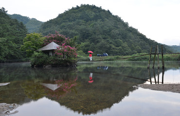 Fototapeta premium 숲속의 아름다운 호수
