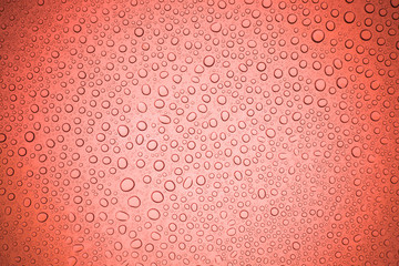 Rain droplets on red glass background, Water drops on glass.