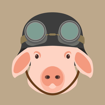 pig face in helmet vector illustration flat style front
