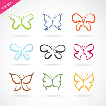 Vector group of hand drawn butterfly on white background. Butterfly icon. Insect. Animal.