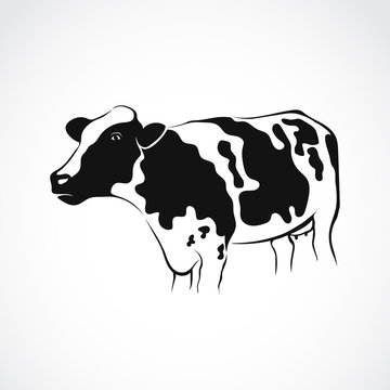 Vector of cow design on white background. Vector illustration. Farm Animals.