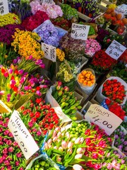 portobello flower stall