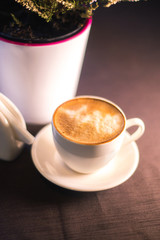 A cup of coffee near a plant in a pot with a blurred background.