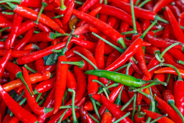Group of chilli for spicy cooking.