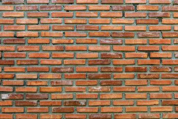 Obraz premium Piękne tło ze starej ściany.