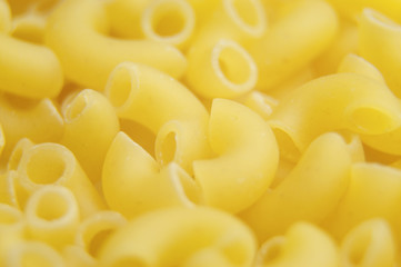 Pasta horns close-up