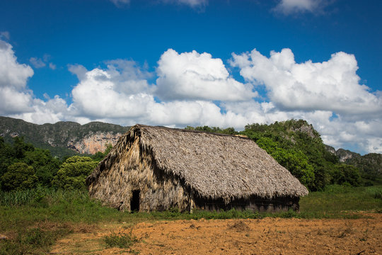 Tabakfarm