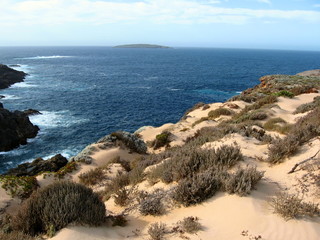 Obraz premium the whalers way