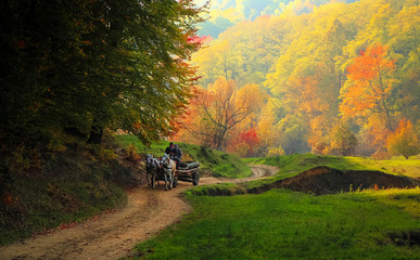 Country life in Romania
