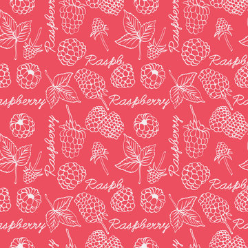 Raspberry graphic color seamless pattern illustration.